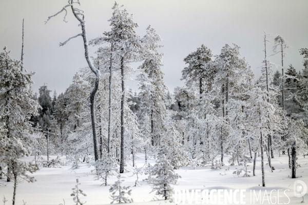 Balade Finlandaise
