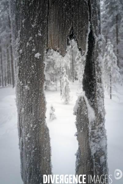 Balade Finlandaise