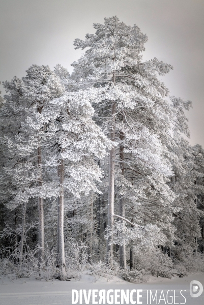 Balade Finlandaise