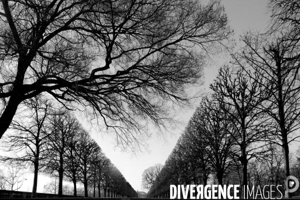 Aux Tuileries, l hiver