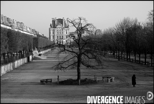 Aux Tuileries, l hiver