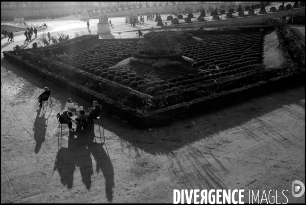 Aux Tuileries, l hiver