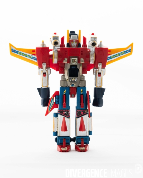 Robot
