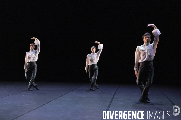 LARMES BLANCHES de Angelin Preljocaj