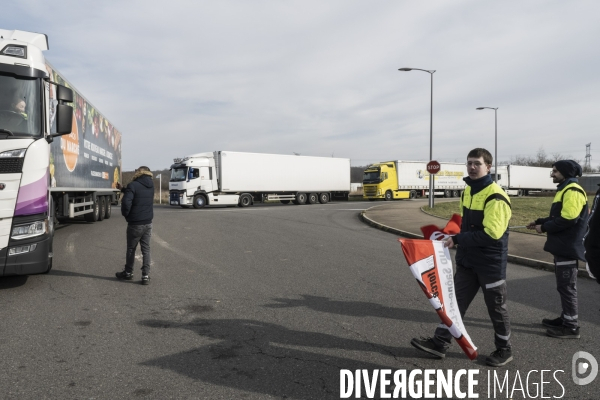 Greve Lidl