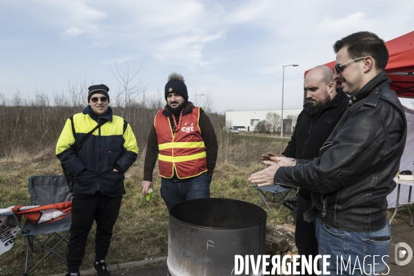 Greve Lidl