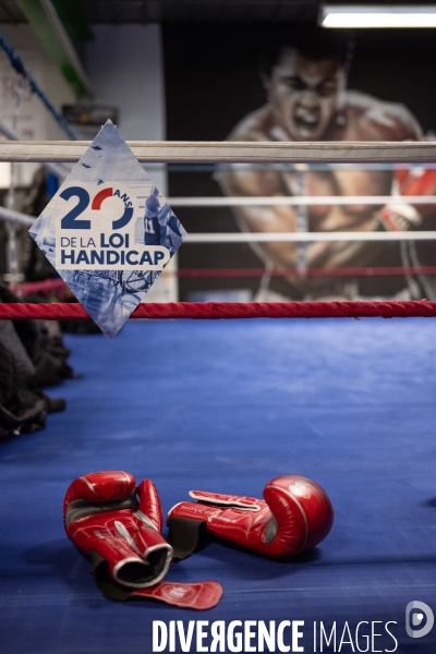 Handiboxe