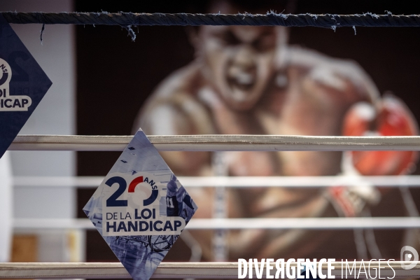 Handiboxe