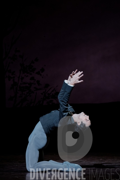 ONÉGUINE  / John Cranko / Ballet de l Opéra national de Paris