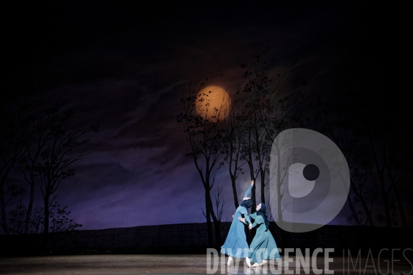 ONÉGUINE  / John Cranko / Ballet de l Opéra national de Paris