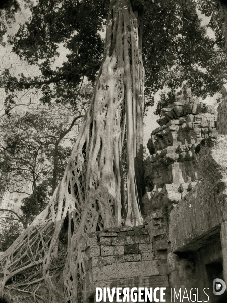 Angkor