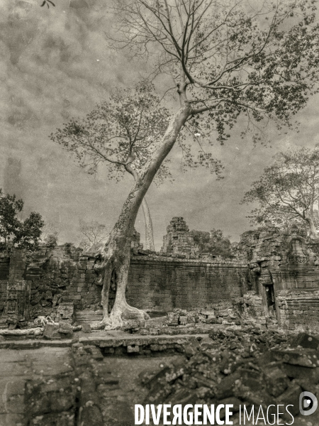 Angkor