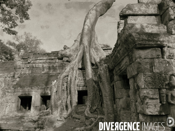 Angkor