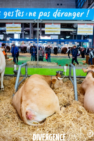 Salon de l agriculture