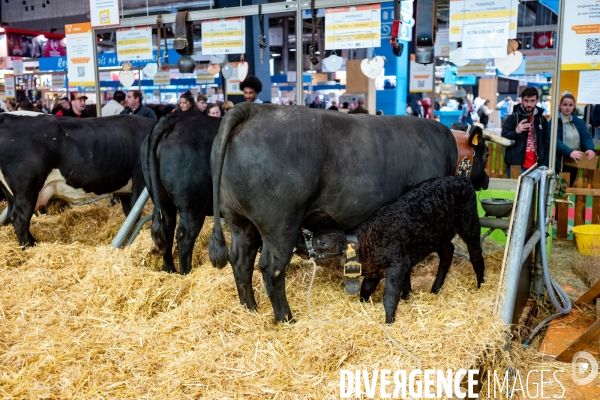 Salon de l agriculture