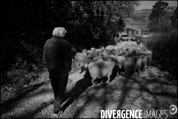 Pascal C. Saison 3 (tirant vers la fin)