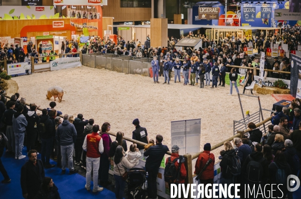 Laurent Wauquiez au salon de l’agriculture