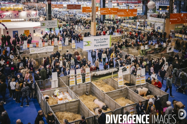 Laurent Wauquiez au salon de l’agriculture