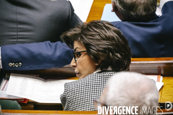 Assemblee nationale 04032025