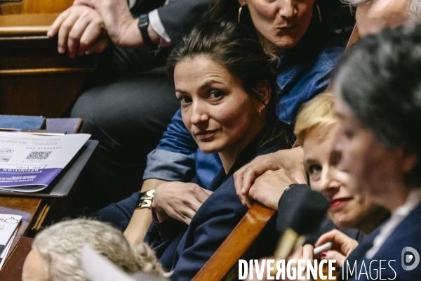 Assemblee nationale 04032025