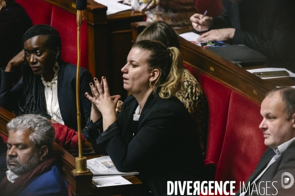 Assemblee nationale 04032025