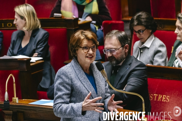 Assemblee nationale 04032025