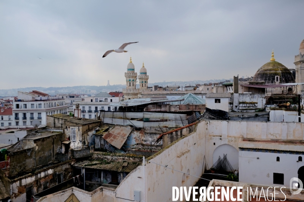 Alger