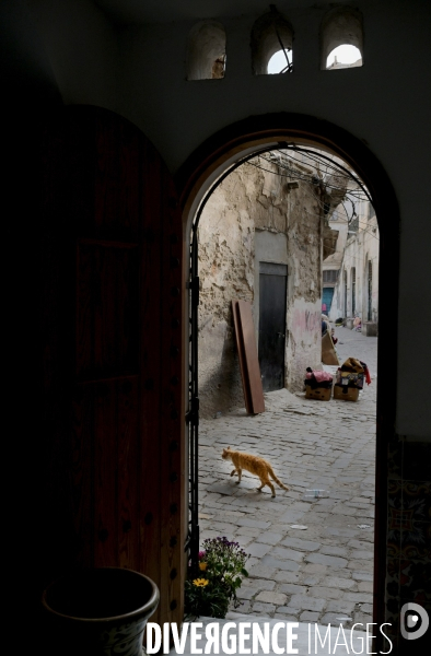 Alger