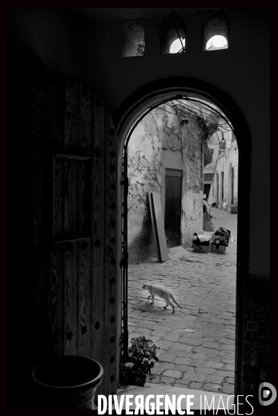 Alger