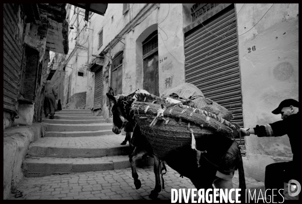 Alger