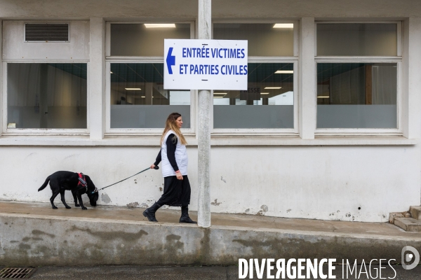 Procès de Joel Le Scouarnec