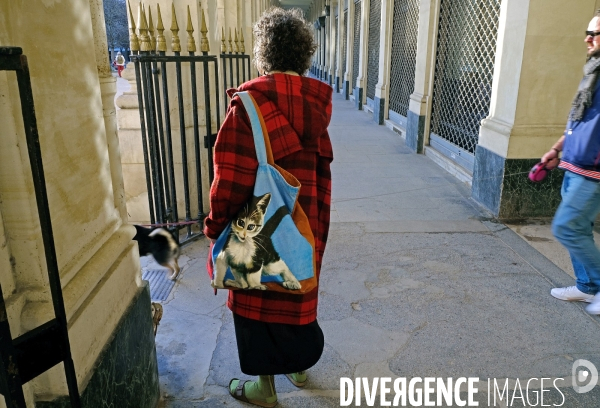 Etes vous Chat ou Chien ?