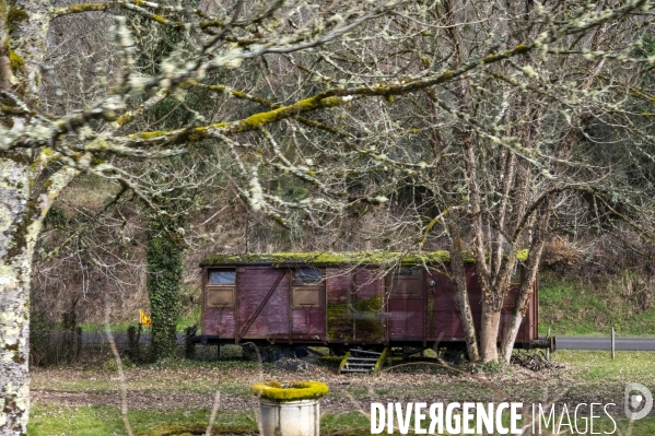 Train TER Ussel Limoges. SNCF.