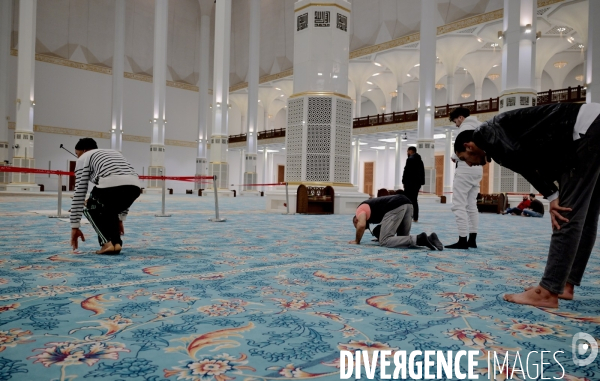 La Grande Mosquée d Alger