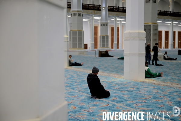 La Grande Mosquée d Alger