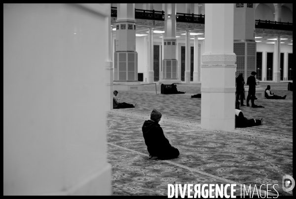 La Grande Mosquée d Alger