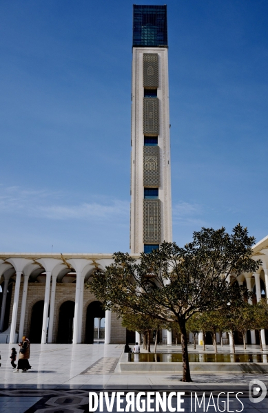 La Grande Mosquée d Alger