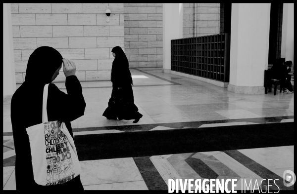 La Grande Mosquée d Alger