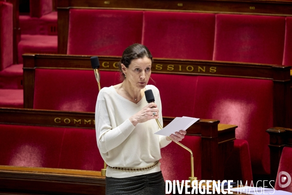 Assemblee Nationale - Questions Orales sans débat