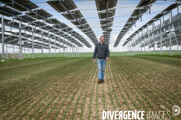 La Canopee agricole: nouvelle voie vers la transition ecologique 