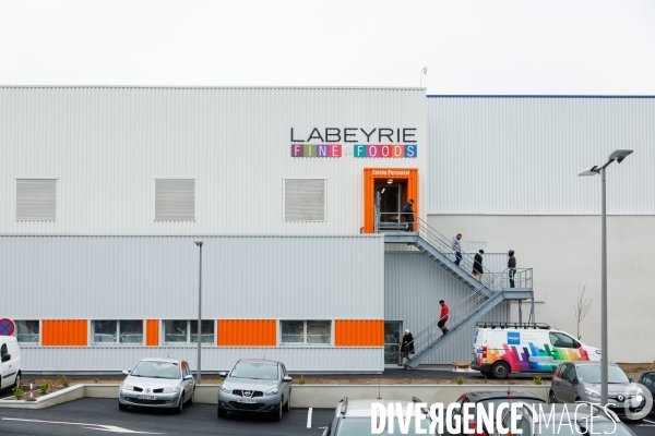 Usine de crevettes