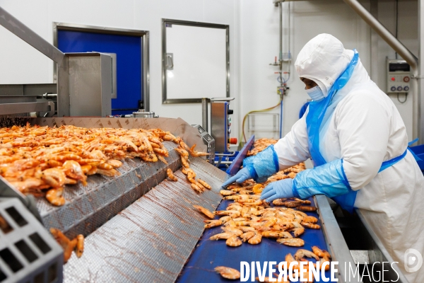Usine de crevettes
