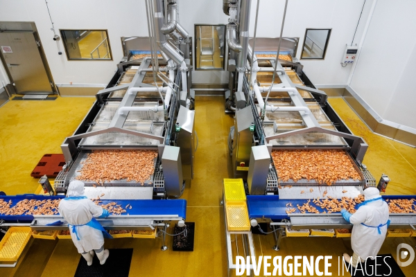Usine de crevettes