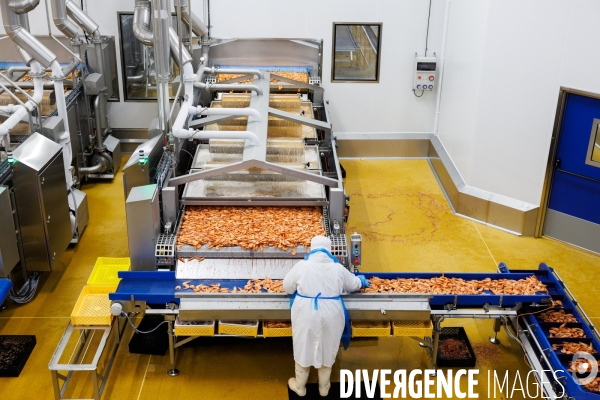 Usine de crevettes