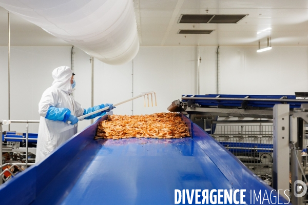Usine de crevettes