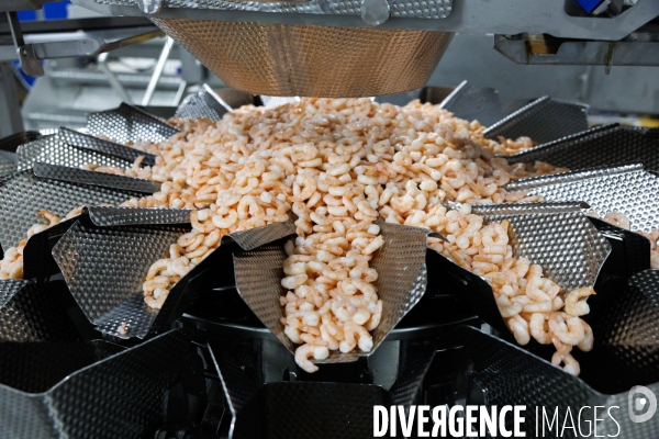 Usine de crevettes