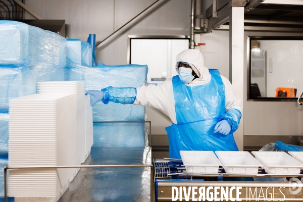 Usine de crevettes