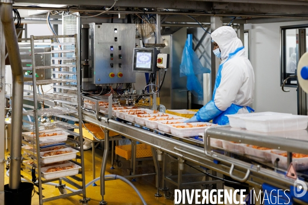 Usine de crevettes