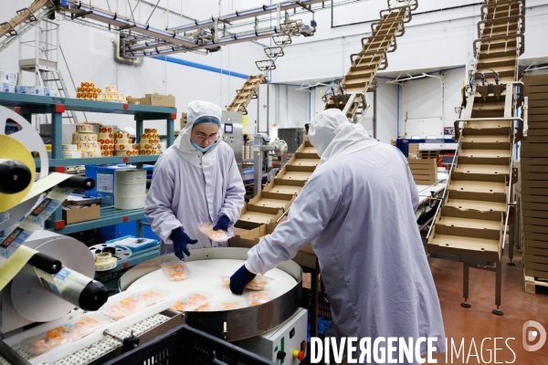 Usine de crevettes