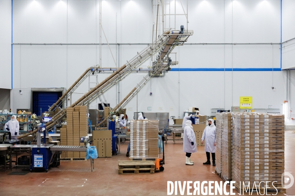 Usine de crevettes